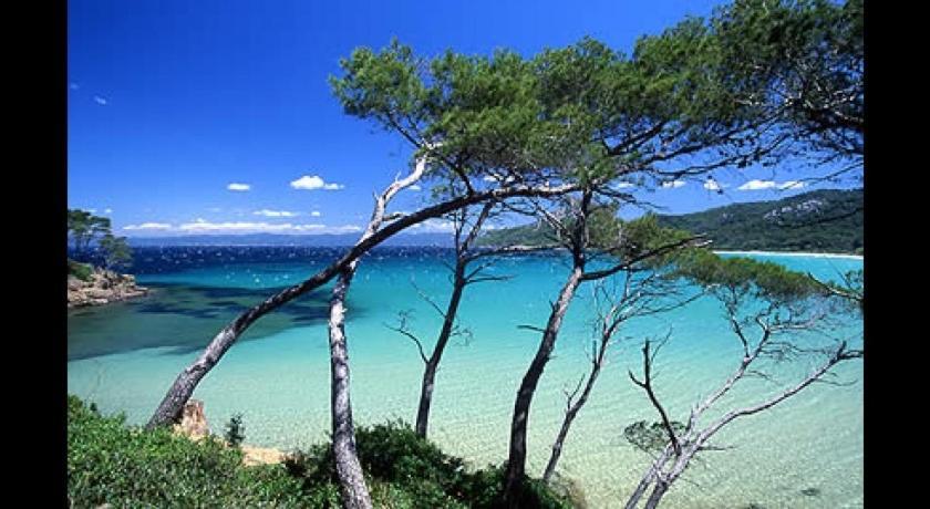 Petit Coin De Paradis Les Pieds Dans L'Eau La Londe-les-Maures Eksteriør billede