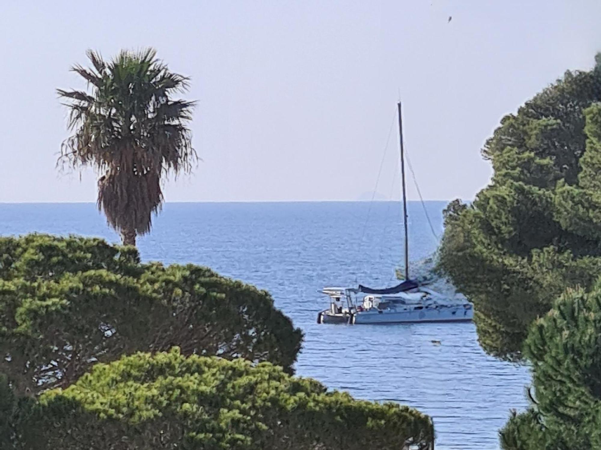 Petit Coin De Paradis Les Pieds Dans L'Eau La Londe-les-Maures Værelse billede